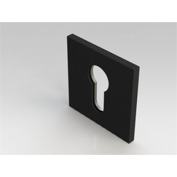 Intersteel cilinderrozet (Vierkant plat verdekt) RVS-mat zwart 0035.343317