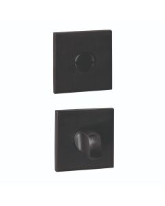 Intersteel WC-sluiting verdekt 53x53x6mm met stift 6-8mm PVD zwart