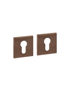 Intersteel Cilinderrozetten verdekt 53x53x6mm PVD brons
